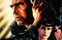 En medio de una aceituna