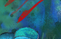 Tiempo de v&iacute;voras